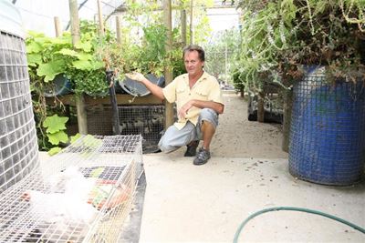 Gardening differently