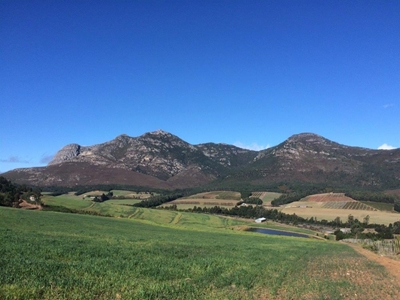 Garden Route farm with huge investment potential up for auction