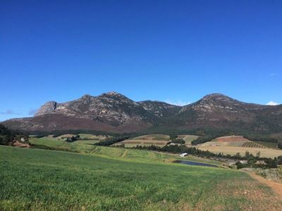 Garden Route farm with huge investment potential up for auction