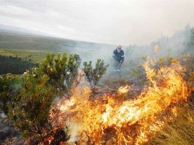 Be part of fire protection initiative