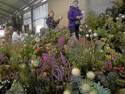 Tuinbouklub besoek blommeskou in Bredasdorp