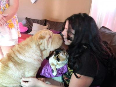 Doggy Walk for CANSA