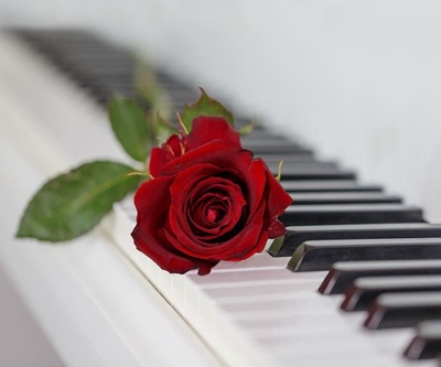 Carnival of voices and Instruments at Fancourt
