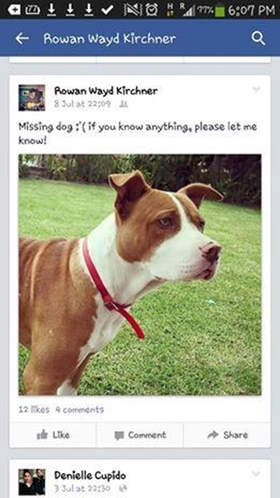 Help vermiste honde terugvind