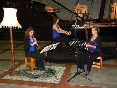 Musical adventure with the Chameleon Trio