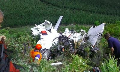 2 die in plane crash, pilot and dog survive