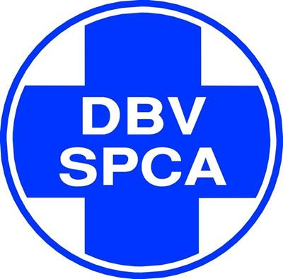SPCA street collection on Saturday