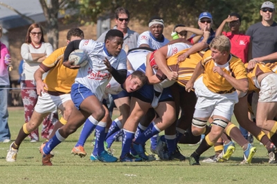 Peter Machal shines for York
