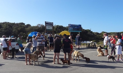 Walking Festival offers variety, fun