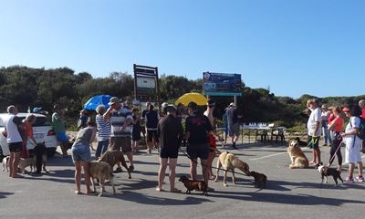 Walking Festival offers variety, fun