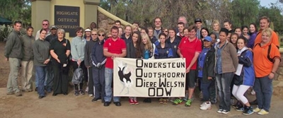 Opvolg: Sakestap vir dierewelsyn