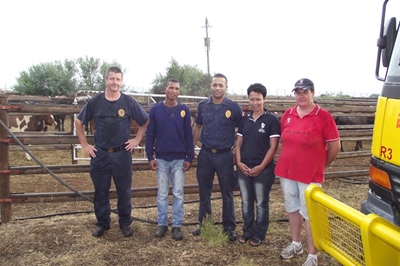 Brandweer bring verligting vir dors vee