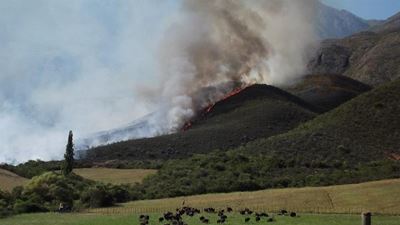 Brand by De Kombuys
