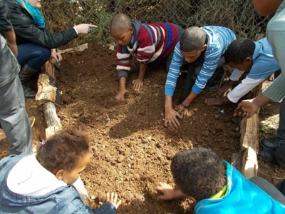 Learners plant own veggies