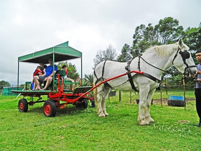 Outeniqua Moon: Paradise found