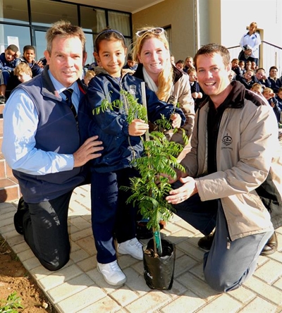 Curro welcomes tree of the year