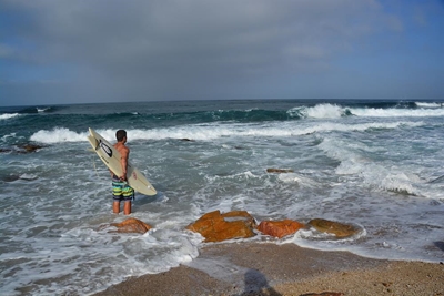 Shark spotters programme in demand?