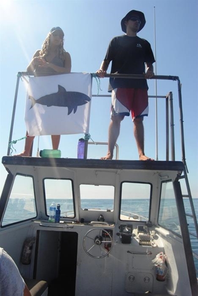 Shark researchers host public meeting