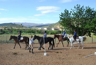 Perdrykamp vir kinders aangebied