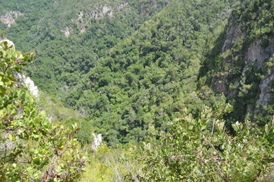 New zip line for Garden Route