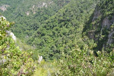 New zip line for Garden Route