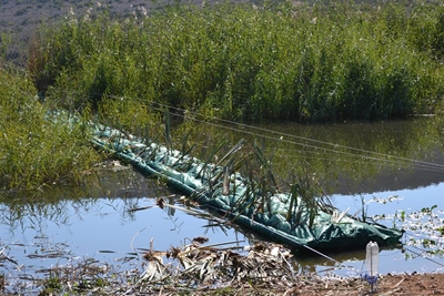 Rioolwater natuurlik herwin