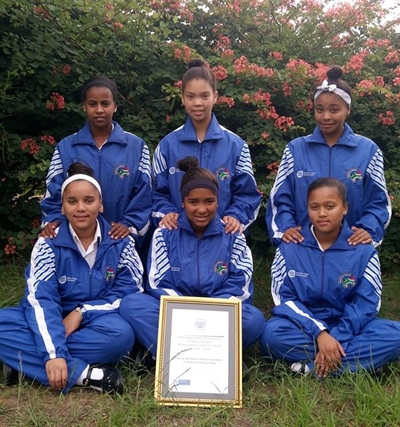 Skaakmat vir o.15 skaakspan