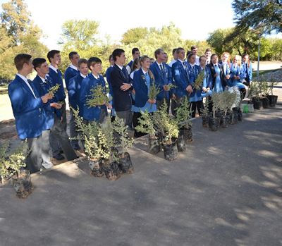 Spekboom-bewustheid by skole gekweek