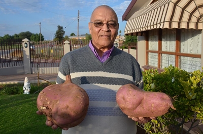 Oudtshoorn-inwoner spog met reuse patats