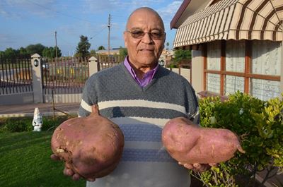Oudtshoorn-inwoner spog met reuse patats