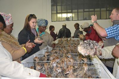 Boere uit Oos-Kaap kuier in Oudtshoorn