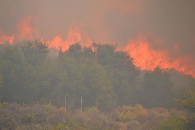 Miljoene se skade na verwoestende brand