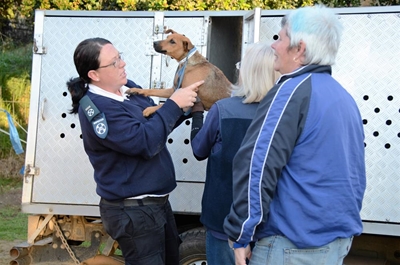 Great spirit at Caws4Paws Sterithon