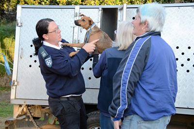 Great spirit at Caws4Paws Sterithon