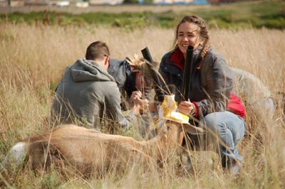 Bontebok captured at PetroSA reserve