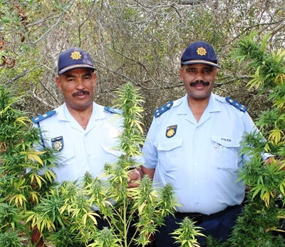 Arrestasies na ontdekking van dagga