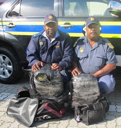 Drug busts in Knysna