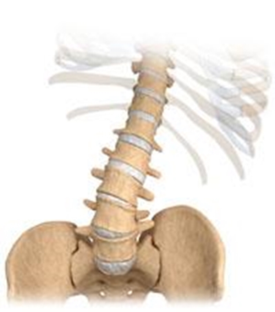 Reduce the pain of degenerativescoliosis