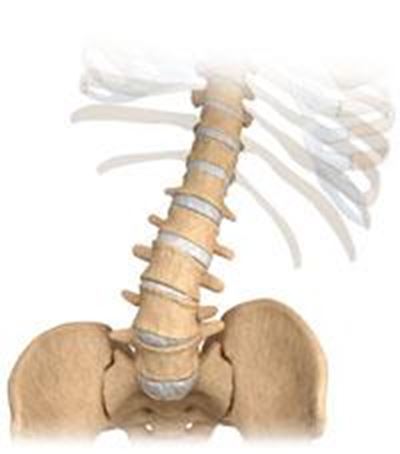 Reduce the pain of degenerativescoliosis