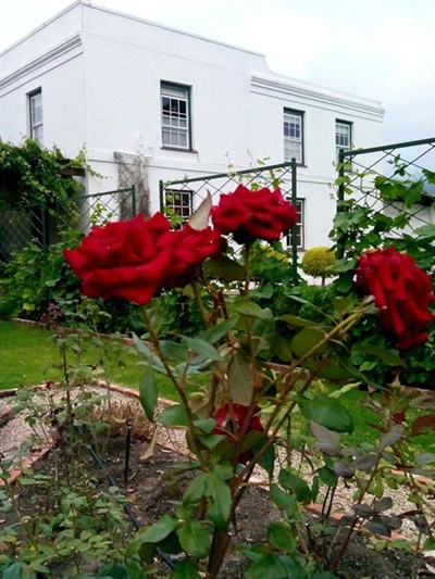 It is open gardens time again