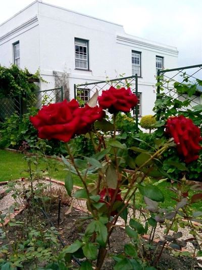 It is open gardens time again
