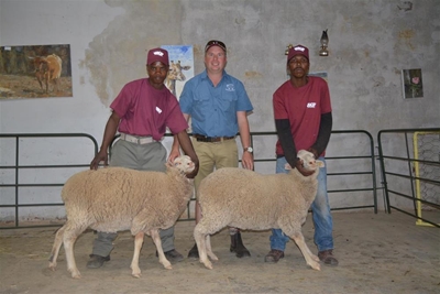 Philipstown Jongooi-skou en Kuddekompetisie