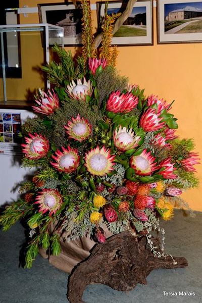 Join the Mossel Bay 2015 Flower Show