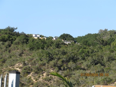Sedgefield dunes disappearing?