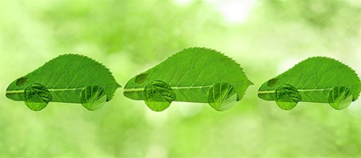 Drive 'greener' this year