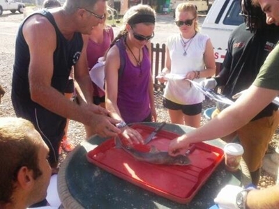 Dolosse marine life flourishes again