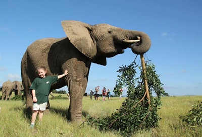 Young girl with a big passion for elephants