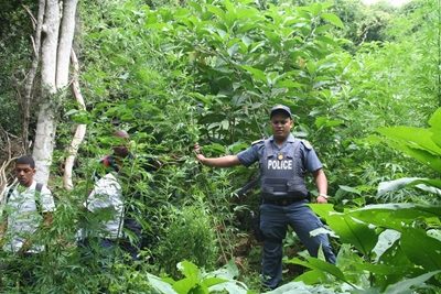 Police bust dagga farm
