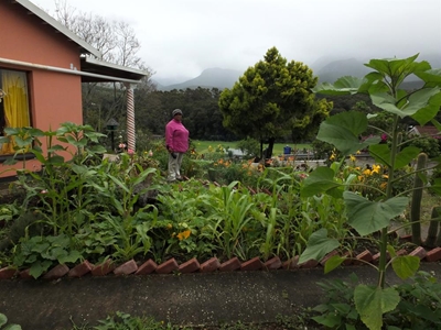 Update: Blanco gardens competition