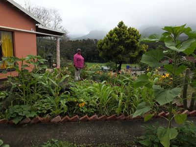 Update: Blanco gardens competition